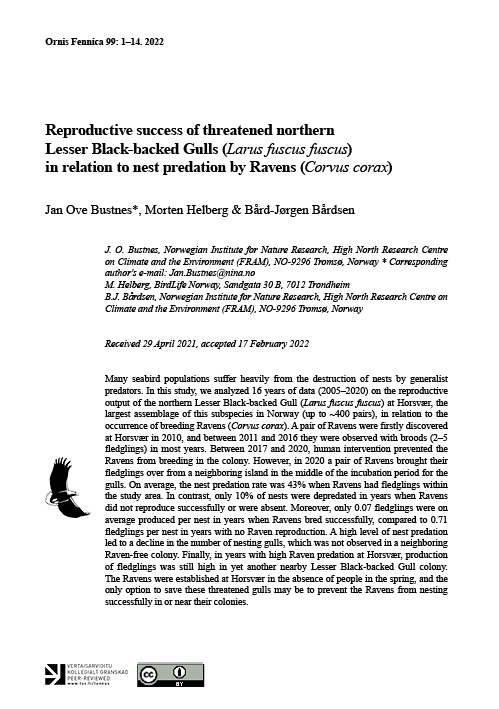 Cover page of Bustnes et al. paper Raven predation on Lesser Black-backed Gulls